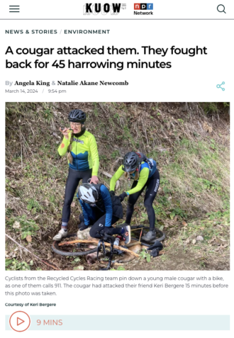 Screenshot from the KUOW website including a photo of three women using a bike to pin a cougar to the ground.